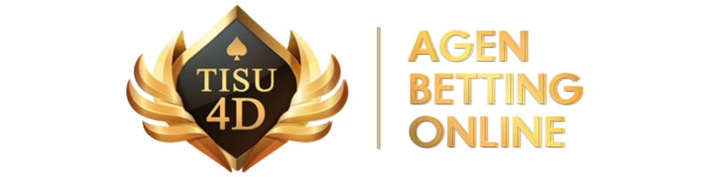 TISU4D Logo